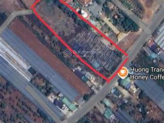 Siêu phẩm đất nền lớn tà nung  duy nhất lô mặt tiền tỉnh lộ 725 rộng 37m không thể bỏ qua!