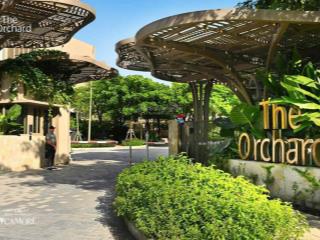 The orchard sycamore  kiệt tác sống xanh giữa lòng thành phố mới  0964 898 ***