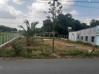 Bán đất 490m2 thổ cư đường ba sa  gò mối, huyện đức hòa, long an