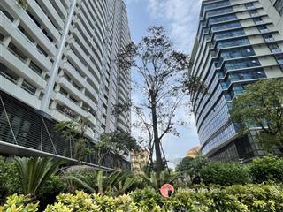 (hiếm, mới ra hàng) tràng an complex 3pn2wc cam kết đẹp nhất dự án 105m2, giá hợp lý, tầng đẹp