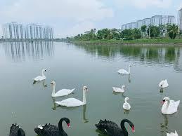 Bảng giá nhà biệt thự thanh hà giá chỉ từ 80 triệu /m2 , vị trí kinh doanh tốt