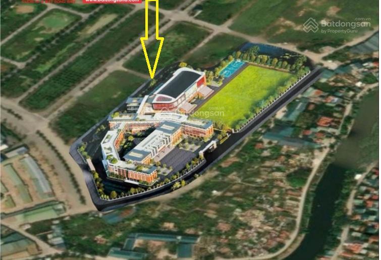 Bán biệt thự góc , hướng đông nam, vị trí kinh doanh tốt