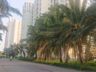 Chính chủ cần bán chcc, căn hộ 03 phòng ngủ và 02 toilet