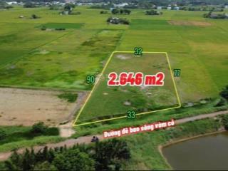 Bán đất 2648m2 mt đê bao sông vàm cỏ tại xã long hựu đông, cần đước, long an chỉ với 1,539 tỷ