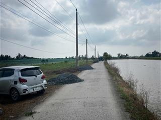 Cần bán gấp đất bờ rỗi, tân điền, gò công đông, gần biển tân thành, 130m2/1.5 tỷ, sổ riêng