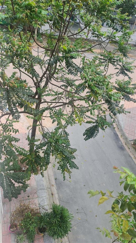 Bán tái định cư ngọc thụy 50m, vĩa hè 3m, giá 20 tỷ 500 triệu