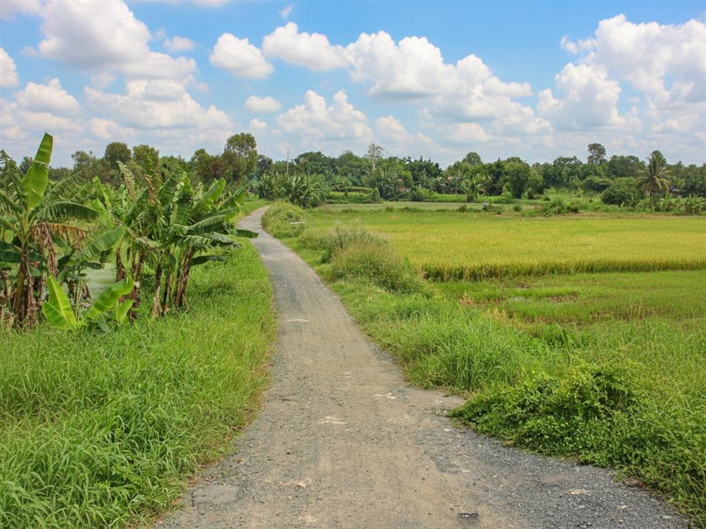 D1751 ⚡️ đất Thạnh Xuân 52 Hóc Môn, SHR, HXT, 26x46m, 5.x tỷ