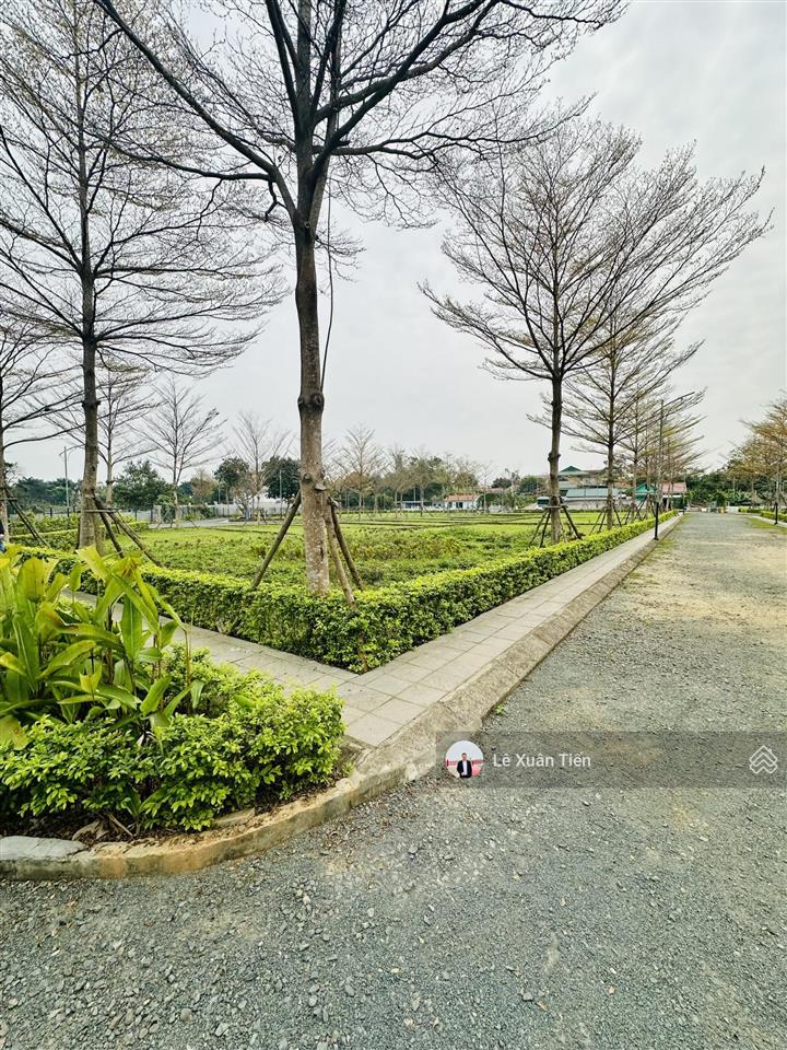Cực hiếm lô góc 285m2, đường 3 ô tô tại đồng vàng phú mãn, sát đhqg tại hoà lạc. chỉ 5.7 tỷ