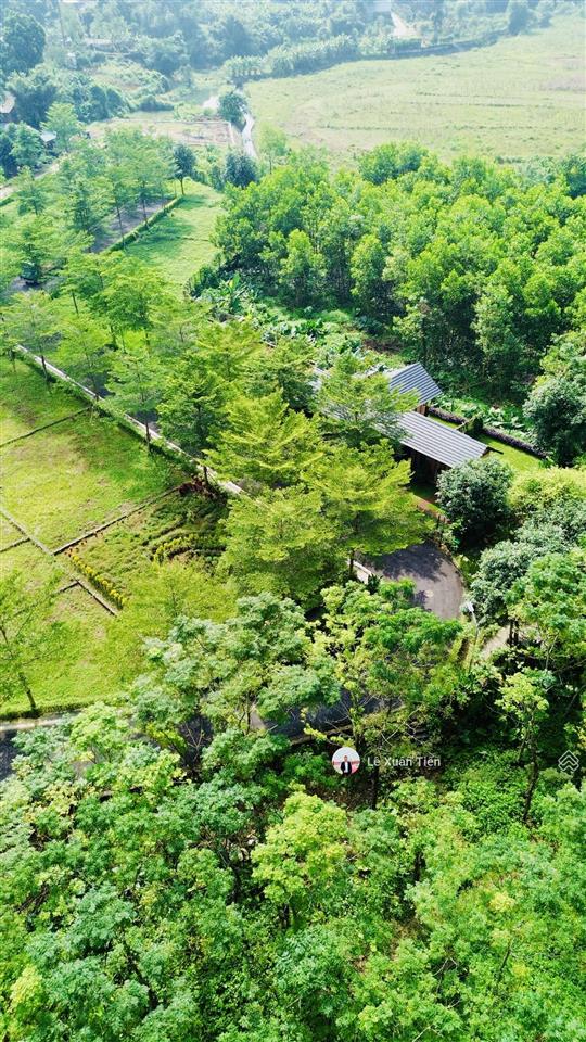 Chỉ 2.52 tỷ, lô đất 109.6m2 đường 3 ô tô, tại đồng vàng, phú cát, hoà lạc. rẻ nhất thị trường