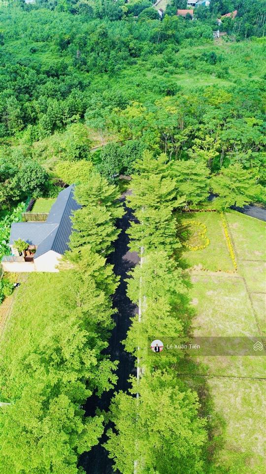 Chỉ 2.52 tỷ, lô đất 109.6m2 đường 3 ô tô, tại đồng vàng, phú cát, hoà lạc. rẻ nhất thị trường