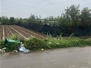 Bán đất yên mỹ đất cây 50 năm mặt tiền trục chính liên xã gần dân cư mặt tiền rộng. 1 lô duy nhất