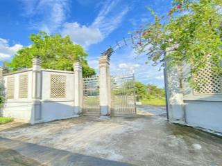 Nhà vườn dt 2132 m2 có hồ sinh thái  thoáng mát  cây ăn trái, xã tân trạch, cần đước, giá 5,1 tỷ
