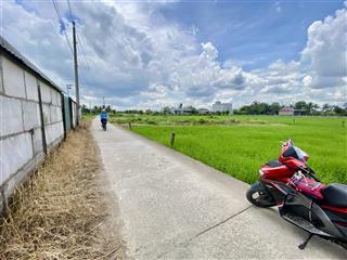 Bán đất cặp đường đăng mỹ, xã tân bình, tân trụ  gần ql1a, sổ riêng, thổ cư 100%, giá 850 tr