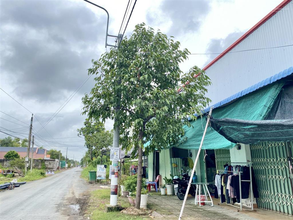 Bán đất cách 50m đường long khê  phước vân, cần đước la, dt 120m2 thổ cư 100%, giá 890 tr