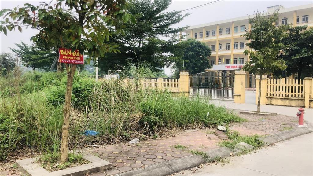 Bán đất 76.5m2, 2 mặt tiền đối diện trường thpt hùng vương, xã lạc đạo, văn lâm