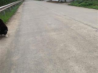 Gần 2000m2 có 720tr ,đất có sẵn thổ cư, mặt tiền đường, dân cư đông đúc, có thương lượng
