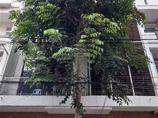 Bán nhà mt bàu cát 1 p12 tân bình( nay là phường bảy hiền) 8 x 17 vuông tận 4 lầu chỉ 30.3 tỷ tl