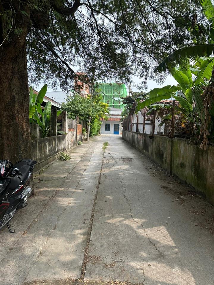 Bán đất 842m2 full thổ cư hẻm 5m đường phan văn đối 26,3 tỷ, bao tách 3 lô nếu có nhu cầu