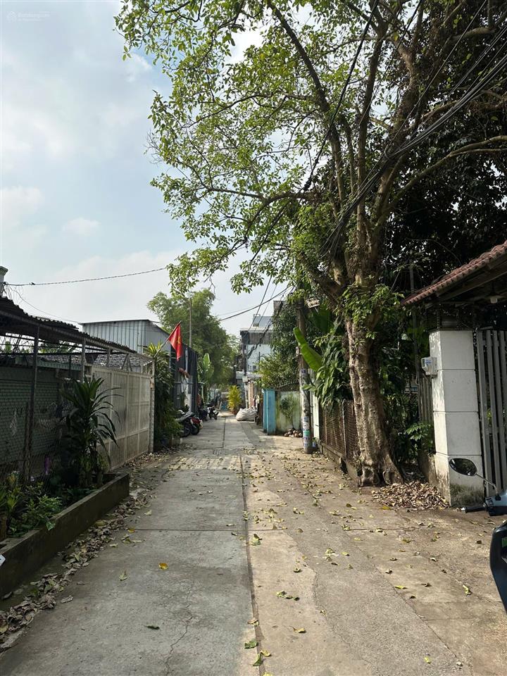 Bán đất 842m2 full thổ cư hẻm 5m đường phan văn đối 26,3 tỷ, bao tách 3 lô nếu có nhu cầu