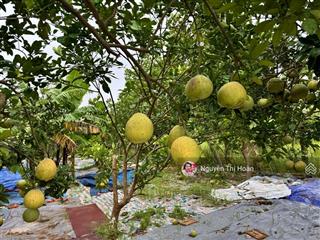 Bán đất có nhà cấp bốn xã duyên hà, thanh trì ~880m2  3 tỷ  sổ đỏ đất trồng cây hàng năm