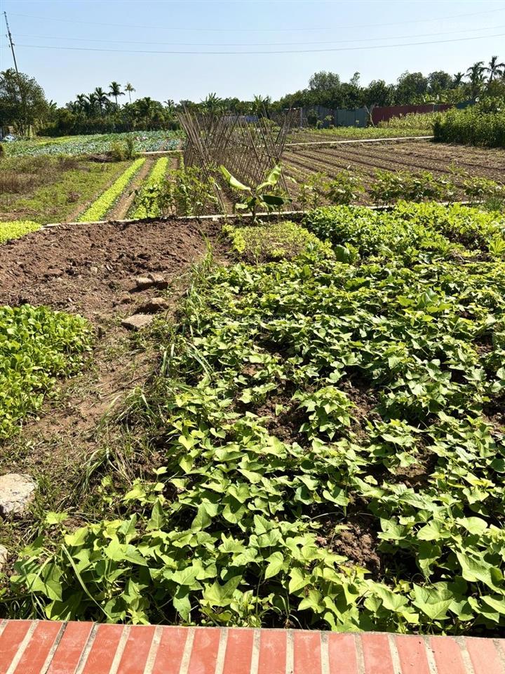 Mảnh đất yên mỹ 462m2  2,05 tỷ  view hồ  2 mặt thoáng