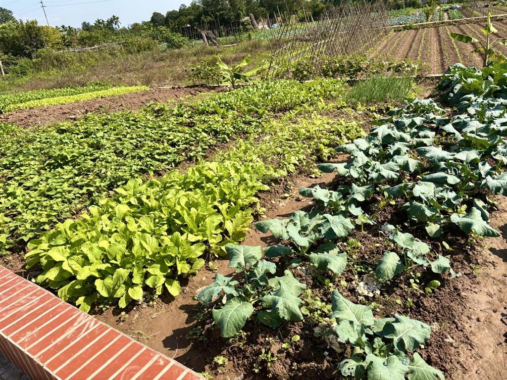 Mảnh đất yên mỹ 462m2  2,05 tỷ  view hồ  2 mặt thoáng