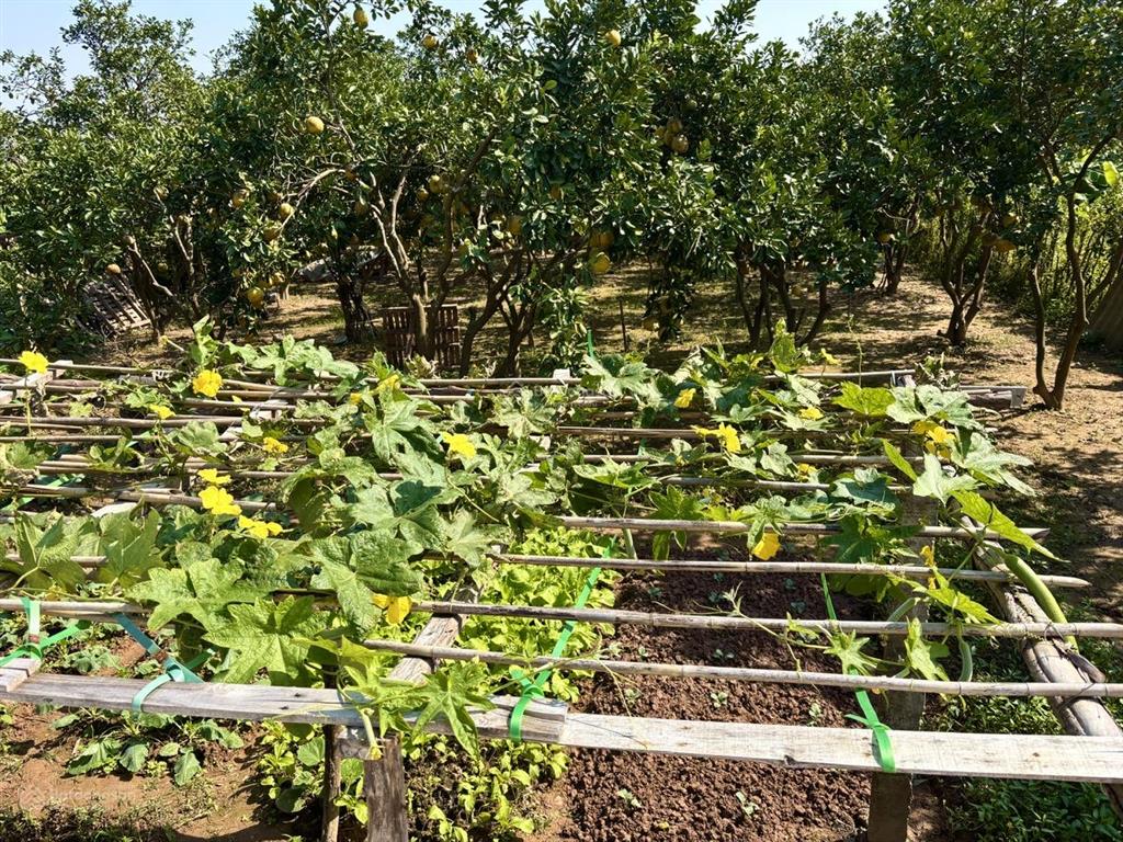 Mảnh đất yên mỹ 462m2  2,05 tỷ  view hồ  2 mặt thoáng