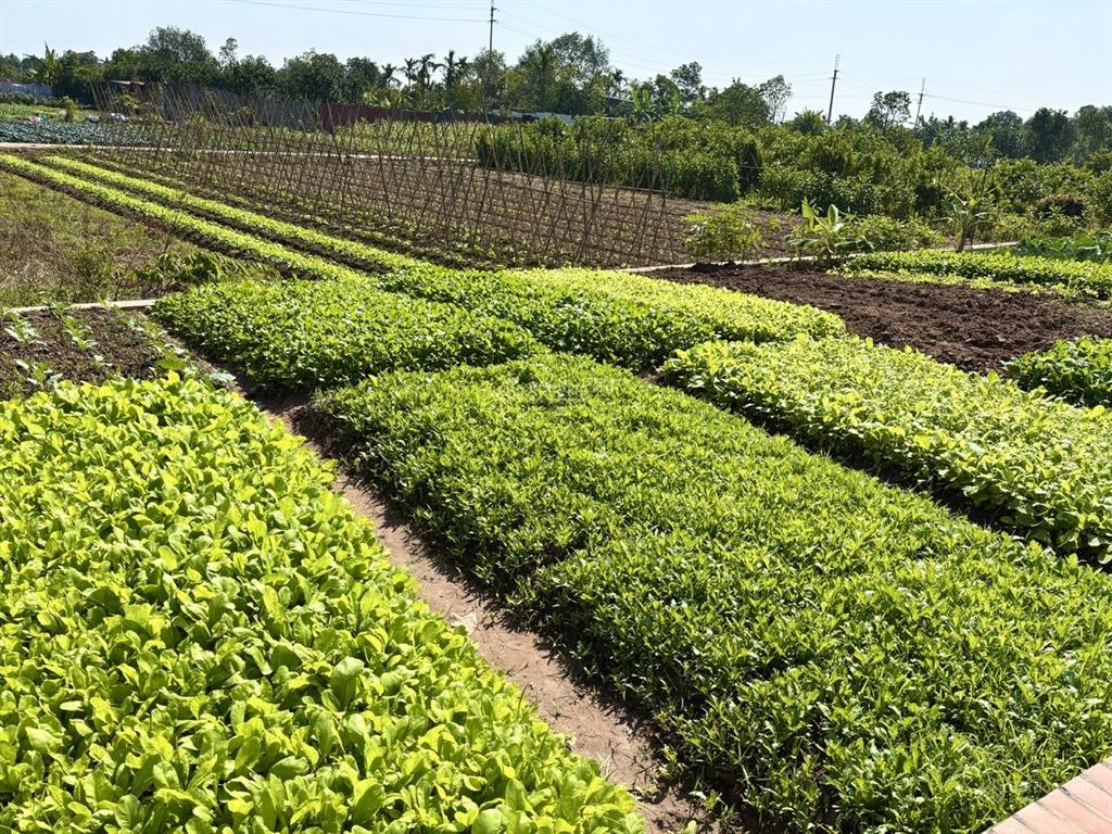 Mảnh đất yên mỹ 462m2  2,05 tỷ  view hồ  2 mặt thoáng