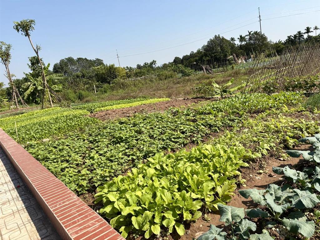 Mảnh đất yên mỹ 462m2  2,05 tỷ  view hồ  2 mặt thoáng