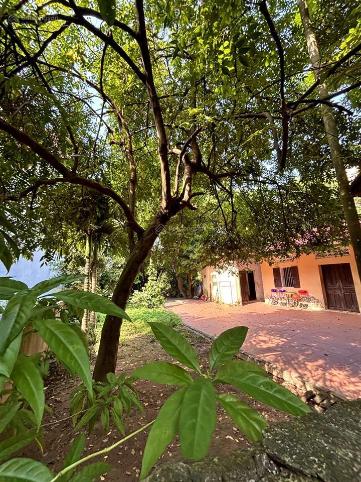 Nhà đất yên mỹ, thanh trì 311m2  22,9 tỷ  ô tô đỗ cửa  resort giữa lòng hà nội