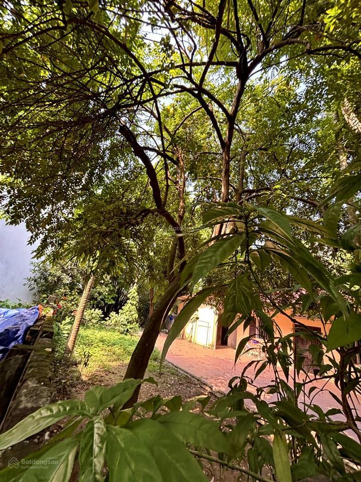 Nhà đất yên mỹ, thanh trì 311m2  22,9 tỷ  ô tô đỗ cửa  resort giữa lòng hà nội