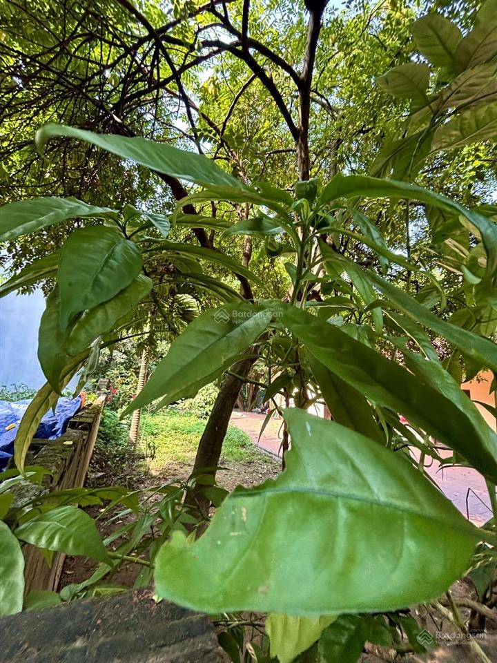 Nhà đất yên mỹ, thanh trì 311m2  22,9 tỷ  ô tô đỗ cửa  resort giữa lòng hà nội