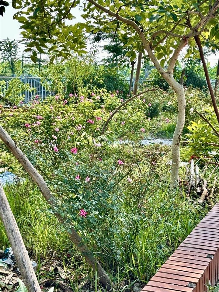 Đát yên mỹ 200m21,1 tỷô tô tải qua nhàgần hồ