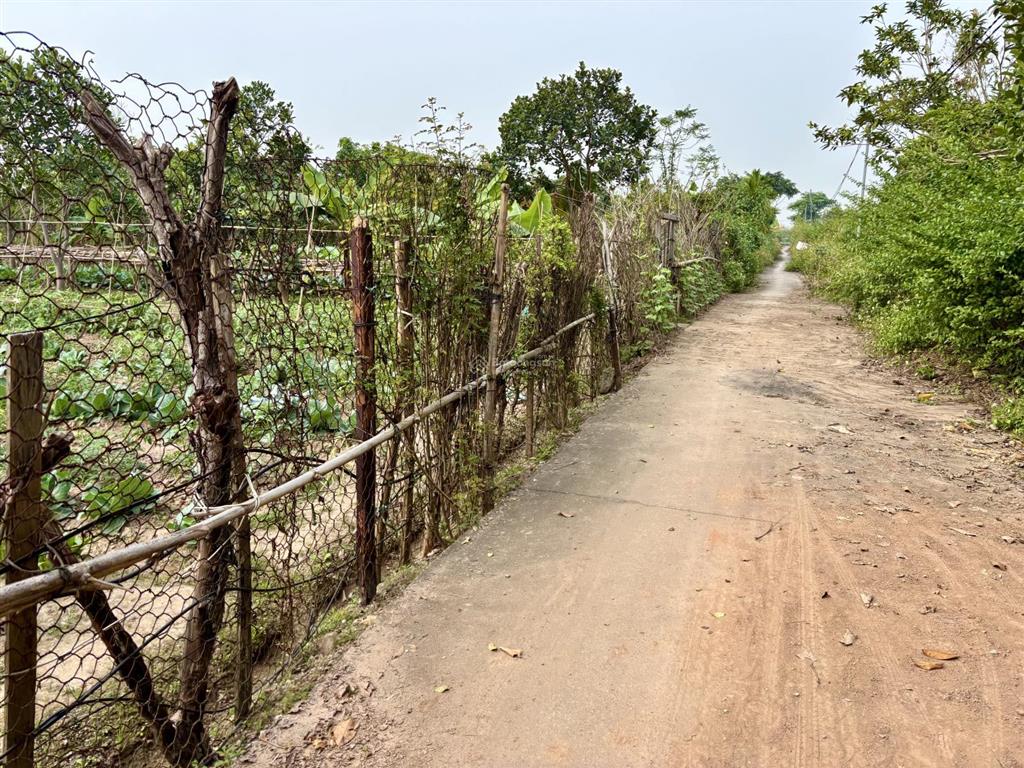 Mảnh đất đẹp yên mỹ 290m2  1,5 tỷ  ô tô đỗ cửa  gần hồ