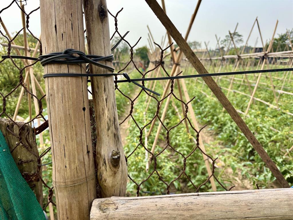 Mảnh đất đẹp yên mỹ 290m2  1,5 tỷ  ô tô đỗ cửa  gần hồ