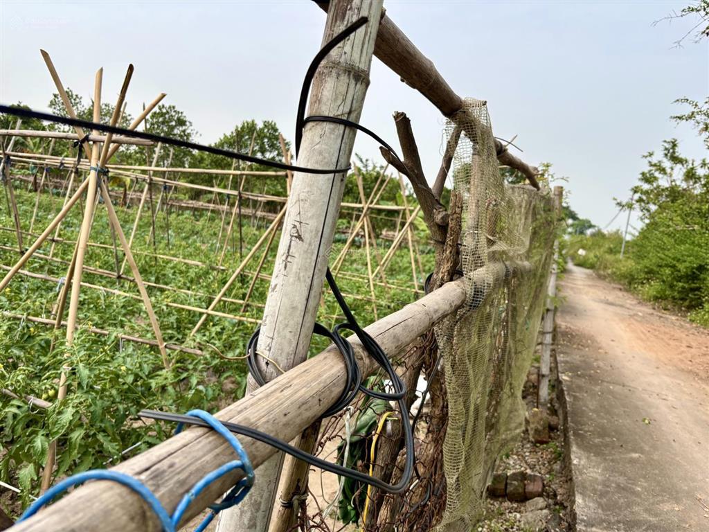 Mảnh đất đẹp yên mỹ 290m2  1,5 tỷ  ô tô đỗ cửa  gần hồ