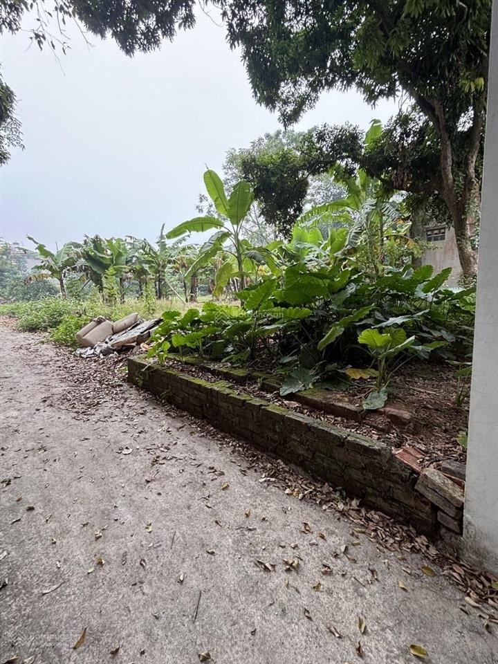 Đất chương mỹ lô góc 3 mặt thoáng 889,3m221tỷ container vào đất