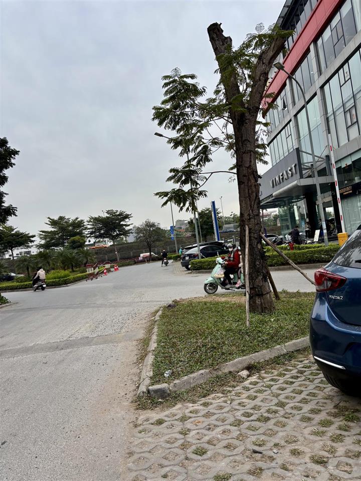 Siêu phẩm shophouse gamuda garden 4 tầng 132m2  58,2 tỷ  dòng tiền 40tr/tháng