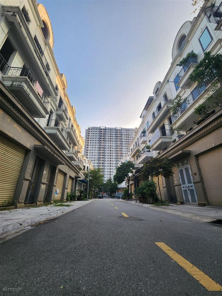 Bán nhà 115m2, giá 23.5 tỷ mặt phố tân thụy giao nguyễn lam giáp phố việt hưng và mai phúc