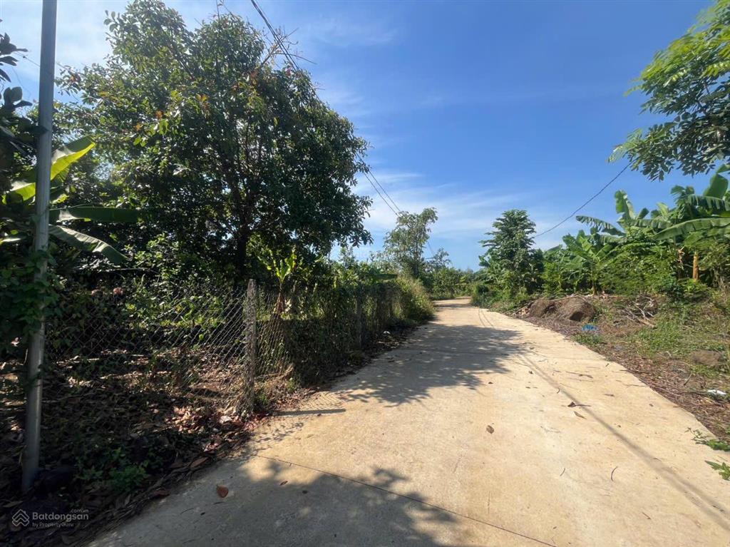 Chính chủ bán đất vườn trái cây 2,000m2 (có thổ cư) tại xã sông thao, trảng bom, đồng nai