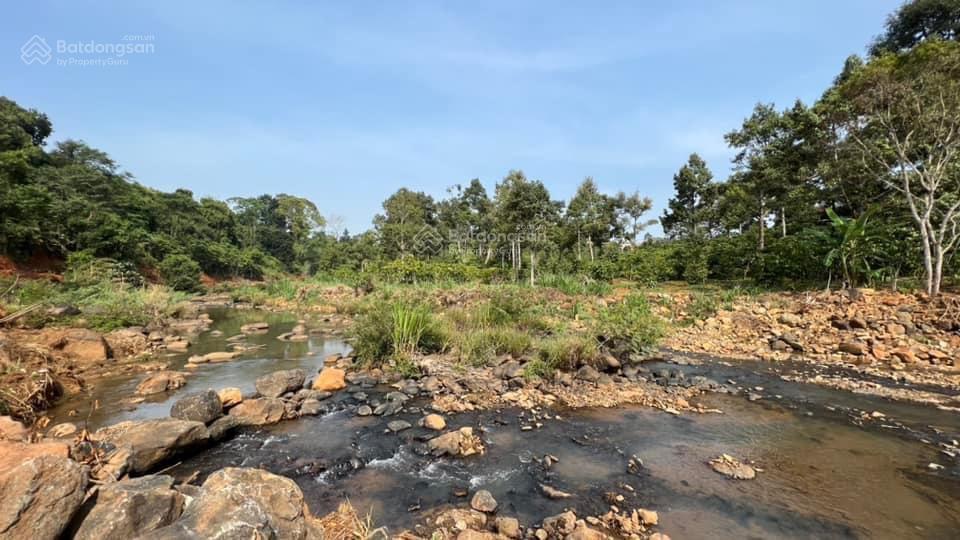 Bán 9900m2 đất ven sông đại nga, tp bảo lộc, phù hợp xây khu nghỉ dưỡng, homestay, khu camping