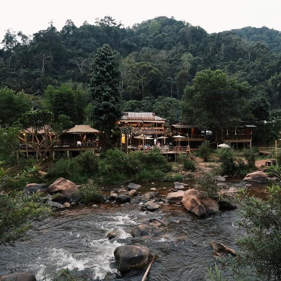 Bán 9900m2 đất ven sông đại nga, tp bảo lộc, phù hợp xây khu nghỉ dưỡng, homestay, khu camping