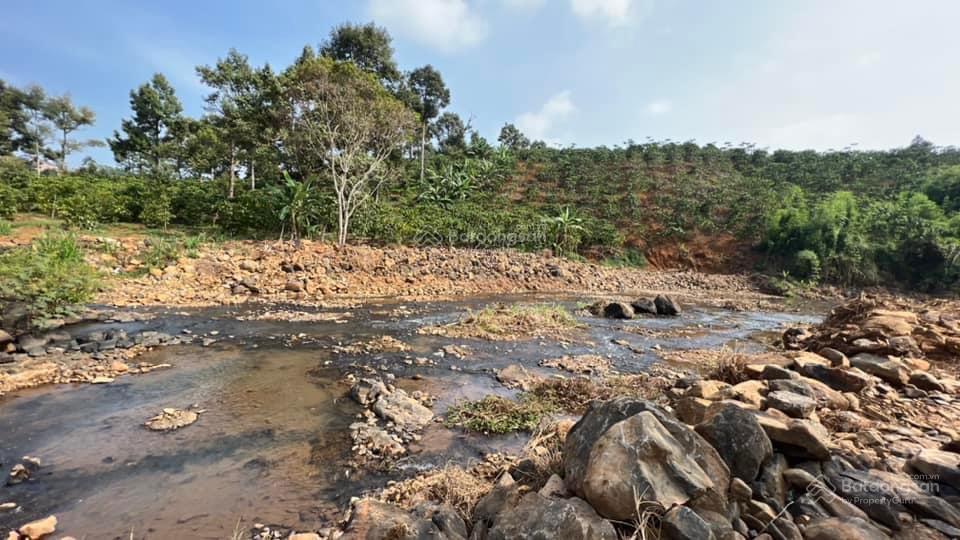 Bán 9900m2 đất ven sông đại nga, tp bảo lộc, phù hợp xây khu nghỉ dưỡng, homestay, khu camping