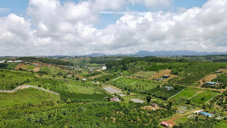 Lô đất có thổ cư, mặt đường lớn, view rừng thông, sát trung tâm tp bảo lộc