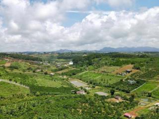 Lô đất có thổ cư, mặt đường lớn, view rừng thông, sát trung tâm tp bảo lộc
