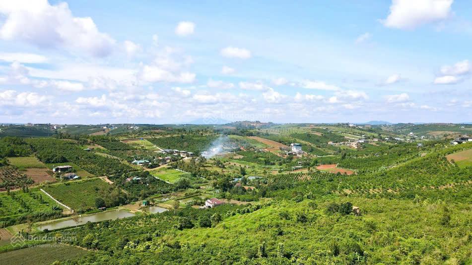 Lô đất có thổ cư, mặt đường lớn, view rừng thông, sát trung tâm tp bảo lộc
