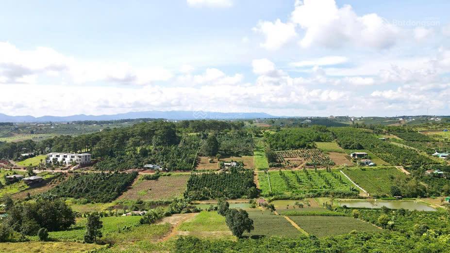 Lô đất có thổ cư, mặt đường lớn, view rừng thông, sát trung tâm tp bảo lộc