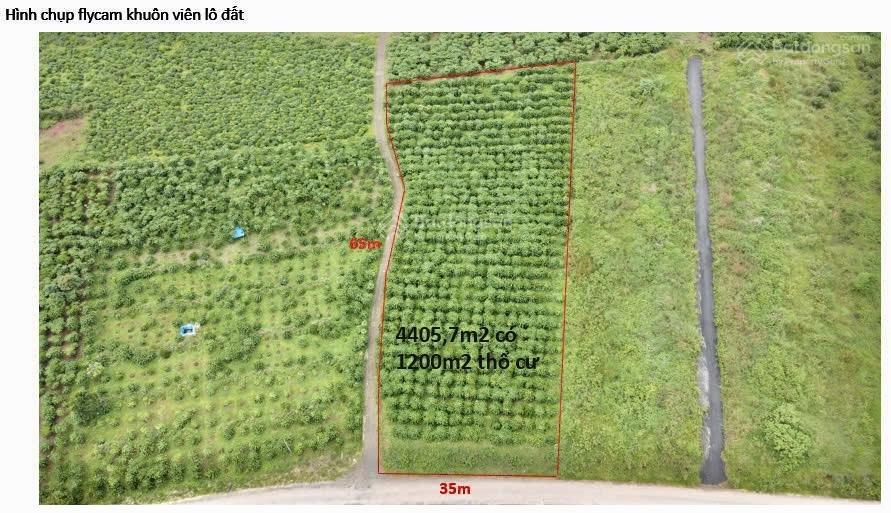 Khu đất thổ cư, đường nhựa 10m lộc quảng, giá f0 rẻ nhất khu vực, view thoáng đẹp