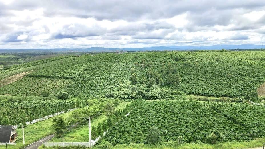 Khu đất thổ cư, đường nhựa 10m lộc quảng, giá f0 rẻ nhất khu vực, view thoáng đẹp