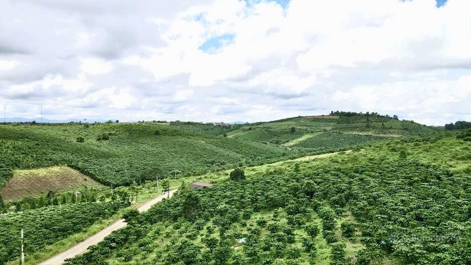 Khu đất thổ cư, đường nhựa 10m lộc quảng, giá f0 rẻ nhất khu vực, view thoáng đẹp